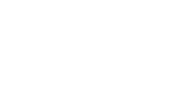 connectwa.com.au